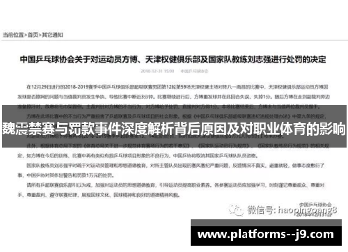 魏震禁赛与罚款事件深度解析背后原因及对职业体育的影响