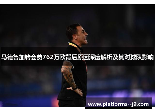 马德鲁加转会费762万欧背后原因深度解析及其对球队影响