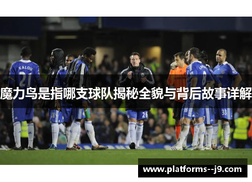 魔力鸟是指哪支球队揭秘全貌与背后故事详解