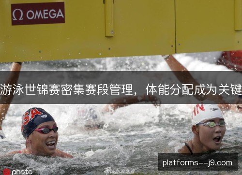 游泳世锦赛密集赛段管理，体能分配成为关键